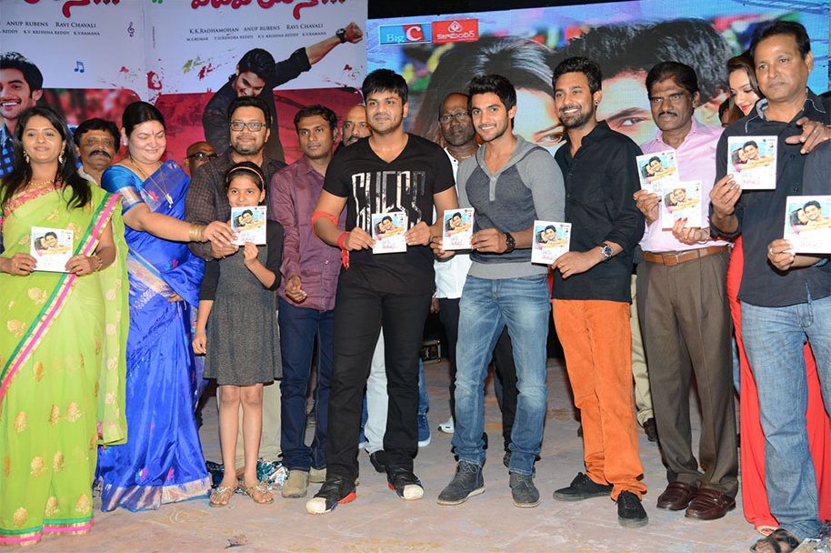 Pyaar-Mein-Padipoyane-Audio-Launch